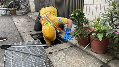 看到老鼠死掉|臺北市政府環境保護局